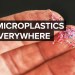 Why The Microplastics Crisis Will Only Get Worse Why The Microplastics Crisis Will Only Get Worse