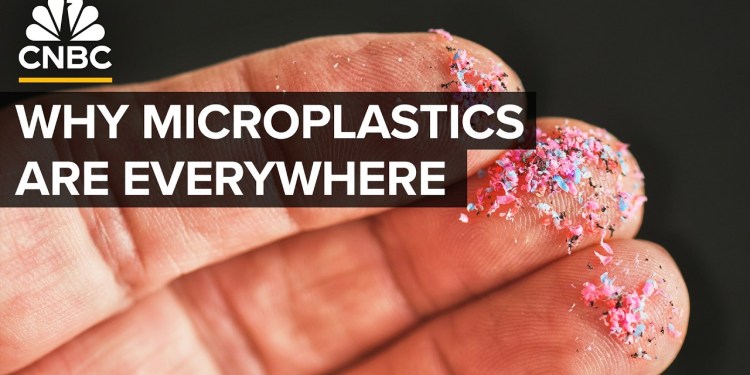 Why The Microplastics Crisis Will Only Get Worse Why The Microplastics Crisis Will Only Get Worse