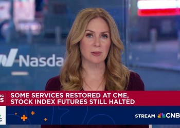 Some services restored at CME, stock index futures still halted Some services restored at CME, stock index futures still halted