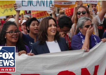 FRIES WITH THAT?: Kamala Harris’ McD’s story raises questions FRIES WITH THAT?: Kamala Harris’ McD’s story raises questions