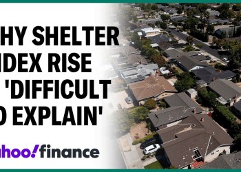 CPI shelter index showed ‘mysterious’ rise: Economist CPI shelter index showed ‘mysterious’ rise: Economist