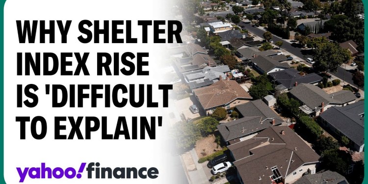 CPI shelter index showed ‘mysterious’ rise: Economist CPI shelter index showed ‘mysterious’ rise: Economist