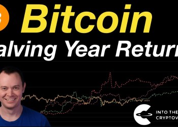 Bitcoin: Halving Year Returns Bitcoin: Halving Year Returns