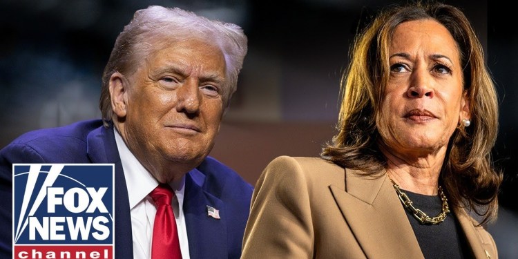 BOMBSHELL report on 2024 election RELEASED BOMBSHELL report on 2024 election RELEASED