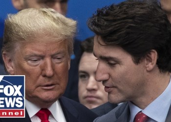 Gingrich: Trump may have broken Justin Trudeau Gingrich: Trump may have broken Justin Trudeau