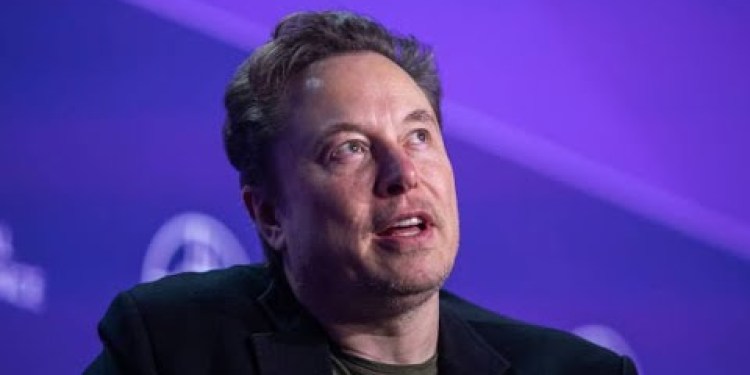 Tesla Is the Most Undervalued AI Play, Ives Says Tesla Is the Most Undervalued AI Play, Ives Says