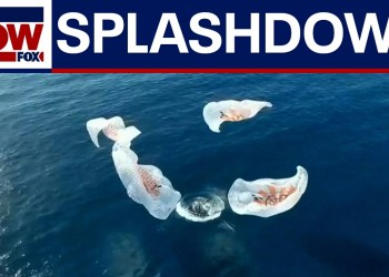WATCH SPLASHDOWN: SpaceX FRAM 2 polar mission re-entry return WATCH SPLASHDOWN: SpaceX FRAM 2 polar mission re-entry return