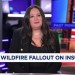 California wildfire losses could cost as much as  billion: Wells Fargo’s insurance analyst California wildfire losses could cost as much as  billion: Wells Fargo’s insurance analyst