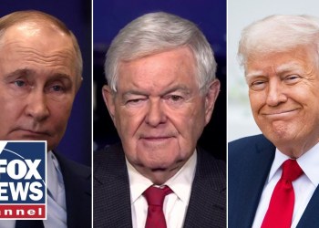 Newt Gingrich: Putin has totally misunderstood Trump Newt Gingrich: Putin has totally misunderstood Trump