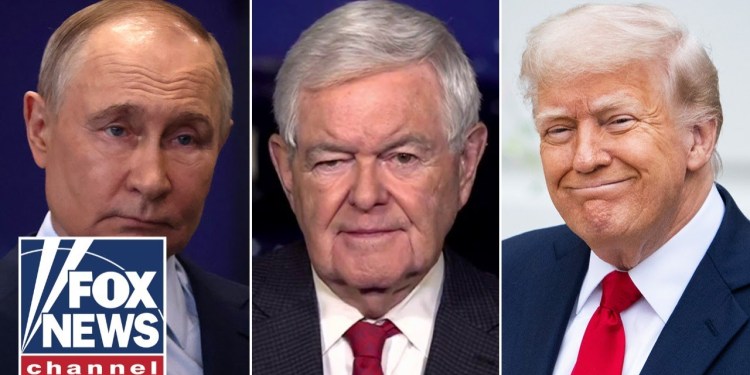 Newt Gingrich: Putin has totally misunderstood Trump Newt Gingrich: Putin has totally misunderstood Trump