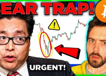 Tom Lee: My Bitcoin Market Prediction After Crash Tom Lee: My Bitcoin Market Prediction After Crash