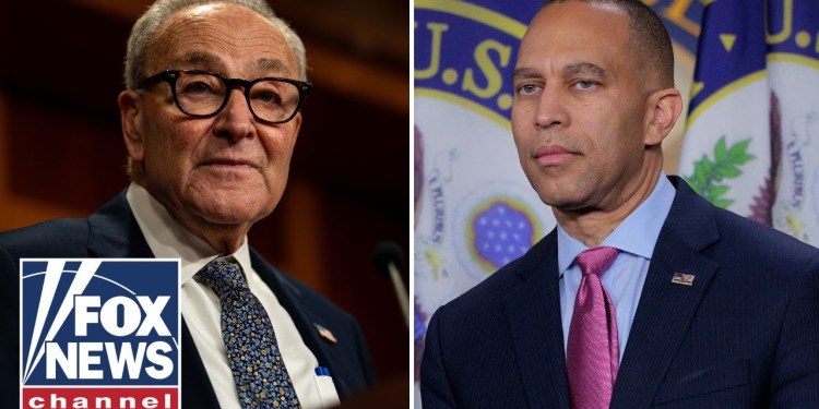 ‘DESPICABLE’: Schumer, Dems under fire amid shutdown debacle ‘DESPICABLE’: Schumer, Dems under fire amid shutdown debacle