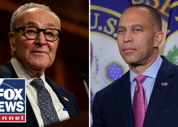 ‘DESPICABLE’: Schumer, Dems under fire amid shutdown debacle ‘DESPICABLE’: Schumer, Dems under fire amid shutdown debacle
