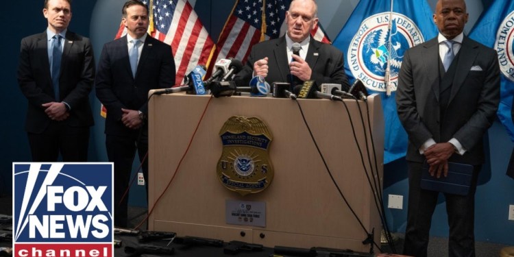 NEW: Dozens of gang members linked to murder, trafficking arrested in NYC NEW: Dozens of gang members linked to murder, trafficking arrested in NYC