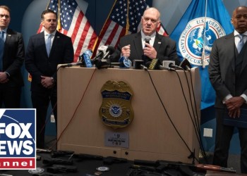 NEW: Dozens of gang members linked to murder, trafficking arrested in NYC NEW: Dozens of gang members linked to murder, trafficking arrested in NYC