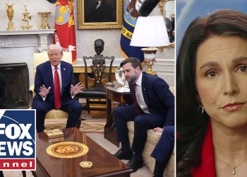 ‘HUGE RIFT’: Tulsi Gabbard says Zelenskyy’s ‘escalation’ was ‘quite a surprise’ ‘HUGE RIFT’: Tulsi Gabbard says Zelenskyy’s ‘escalation’ was ‘quite a surprise’