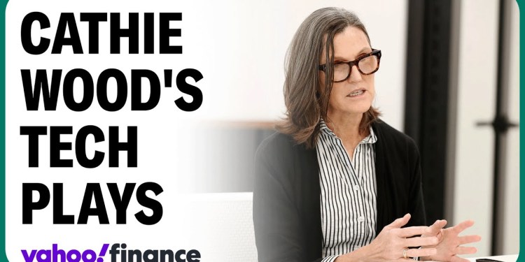 Cathie Wood talks OpenAI investment and Tesla’s robotaxi Cathie Wood talks OpenAI investment and Tesla’s robotaxi