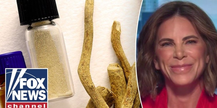 ‘PRETTY INCREDIBLE’: Jillian Michaels on benefits of ibogaine ‘PRETTY INCREDIBLE’: Jillian Michaels on benefits of ibogaine