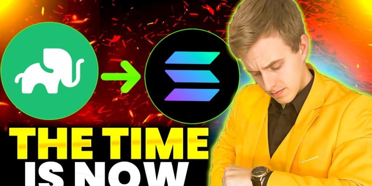 2024 Crypto Market’s Hottest Token – Don’t Miss the Gains! 2024 Crypto Market’s Hottest Token – Don’t Miss the Gains!