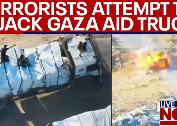 WATCH: Terrorist killed while attempting to hijack aid truck in Gaza, IDF says | LiveNOW from FOX WATCH: Terrorist killed while attempting to hijack aid truck in Gaza, IDF says | LiveNOW from FOX