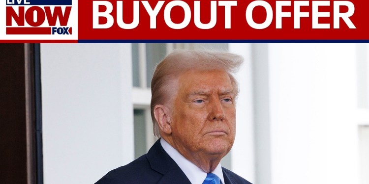 Trump’s federal worker buyout offer restored by judge | LiveNOW from FOX Trump’s federal worker buyout offer restored by judge | LiveNOW from FOX