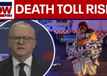 WATCH: Officials provide update after 16 dead in attack on Jewish community in Australia WATCH: Officials provide update after 16 dead in attack on Jewish community in Australia