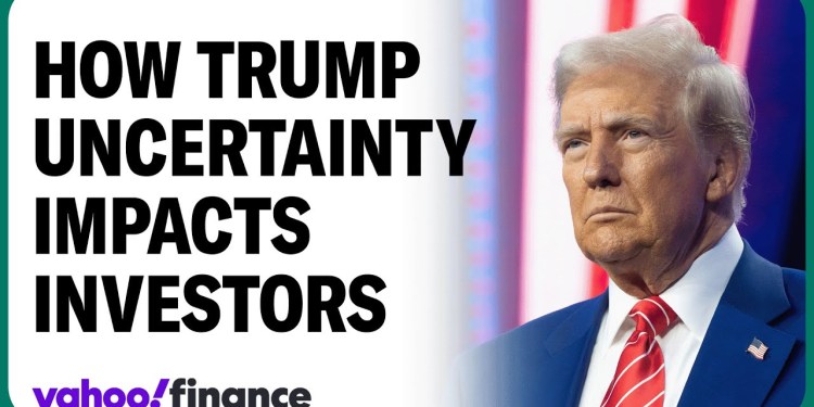 Investors need ‘more clarity’ on Trump policy: Portfolio mgr. Investors need ‘more clarity’ on Trump policy: Portfolio mgr.