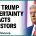 Investors need ‘more clarity’ on Trump policy: Portfolio mgr. Investors need ‘more clarity’ on Trump policy: Portfolio mgr.