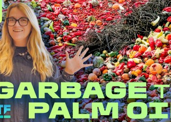 Food Made From Garbage Is Here – and It Could Save the Planet Food Made From Garbage Is Here – and It Could Save the Planet