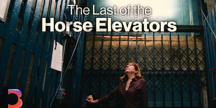 A Last Ride in New York’s Disappearing Horse Elevators A Last Ride in New York’s Disappearing Horse Elevators