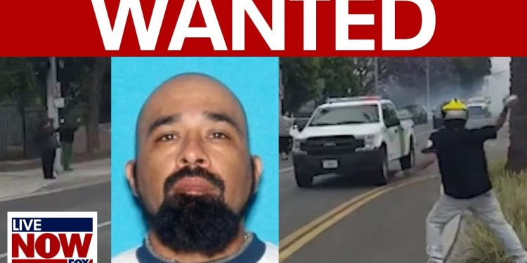 ICE Protests: LA man who threw rocks at border patrol agents identified ICE Protests: LA man who threw rocks at border patrol agents identified