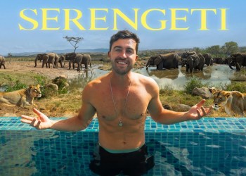 I Stayed at the BEST Hotel in the Serengeti (Four Seasons) I Stayed at the BEST Hotel in the Serengeti (Four Seasons)
