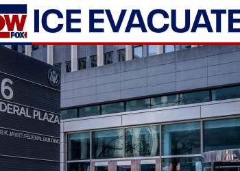 Envelopes of suspicious white powder sent to ICE field office Envelopes of suspicious white powder sent to ICE field office