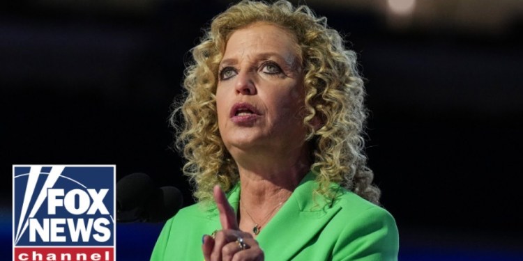 ‘NOT BUYING’ IT: Democrat called out over outlandish election loss claim ‘NOT BUYING’ IT: Democrat called out over outlandish election loss claim