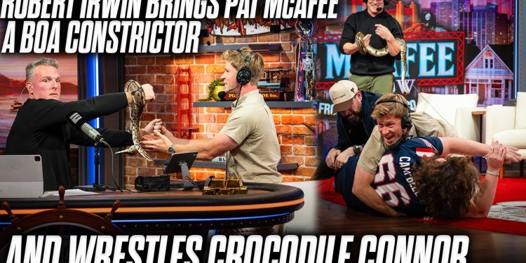 Robert Irwin Brings Boa Constrictor For Pat McAfee, Wrestles Crocodile Connor Live At Radio Row Robert Irwin Brings Boa Constrictor For Pat McAfee, Wrestles Crocodile Connor Live At Radio Row