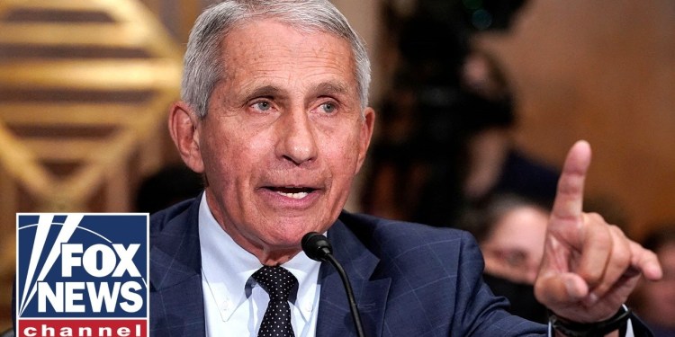 ‘YOU LIAR’: Former CIA official calls Fauci’s pardon ‘unacceptable’ ‘YOU LIAR’: Former CIA official calls Fauci’s pardon ‘unacceptable’