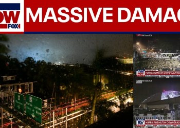 WATCH: Tropicana Field roof torn off, crane crashes into building | LiveNOW from FOX WATCH: Tropicana Field roof torn off, crane crashes into building | LiveNOW from FOX