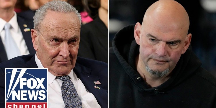 Fetterman breaks with Dems: ‘Burning down the village to save it’ Fetterman breaks with Dems: ‘Burning down the village to save it’