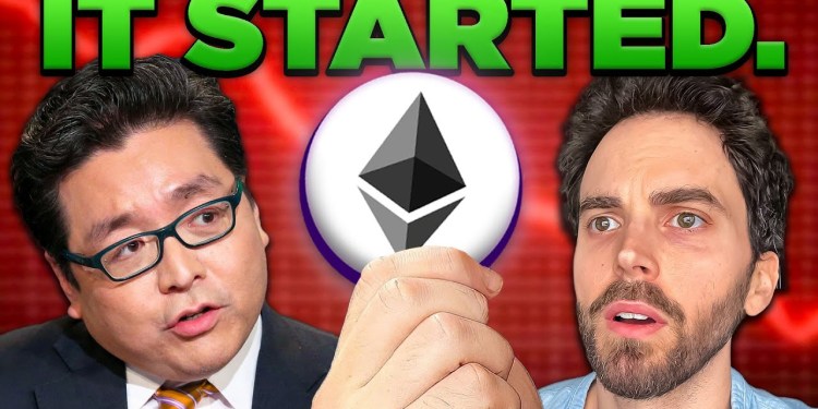 Tom Lee: The Cryptocurrency Supercycle Has Begun (DO THIS NOW) Tom Lee: The Cryptocurrency Supercycle Has Begun (DO THIS NOW)