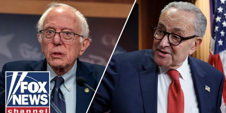 Democrats’ CIVIL WAR is upon us: Josh Holmes Democrats’ CIVIL WAR is upon us: Josh Holmes