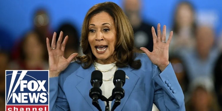 Gen Z voter says Kamala’s campaign is ‘all vibes, no policy’ Gen Z voter says Kamala’s campaign is ‘all vibes, no policy’