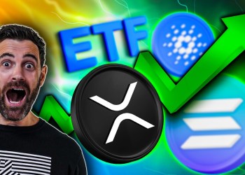 The SEC Just Changed Everything for Altcoins in 2025 The SEC Just Changed Everything for Altcoins in 2025