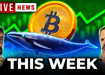 Watch Out! BTC Whales on the Move: Bitcoin’s Next Leg, RWAs & More! Watch Out! BTC Whales on the Move: Bitcoin’s Next Leg, RWAs & More!