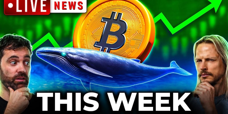 Watch Out! BTC Whales on the Move: Bitcoin’s Next Leg, RWAs & More! Watch Out! BTC Whales on the Move: Bitcoin’s Next Leg, RWAs & More!