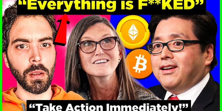 WARNING: Bitcoin Bull Run Is Over!? Crypto’s Next BIG Move Will SHOCK YOU! WARNING: Bitcoin Bull Run Is Over!? Crypto’s Next BIG Move Will SHOCK YOU!