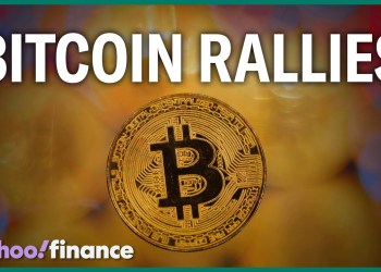 Bitcoin rallies following Trump assassination attempt Bitcoin rallies following Trump assassination attempt