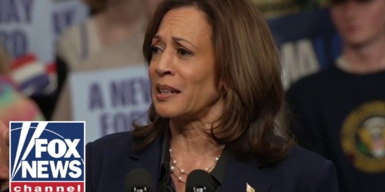 ‘DOING GOD’S WORK’: Pro-life students allegedly mocked, thrown out of Harris rally ‘DOING GOD’S WORK’: Pro-life students allegedly mocked, thrown out of Harris rally