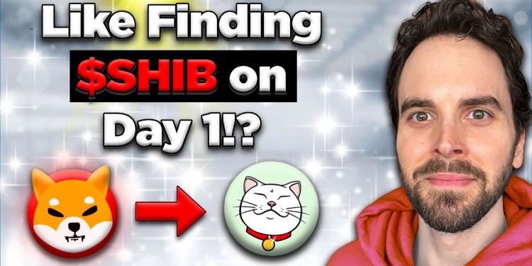 The Next SHIB? Did I Find The Next MAJOR Cat Meme Coin for 2025? The Next SHIB? Did I Find The Next MAJOR Cat Meme Coin for 2025?