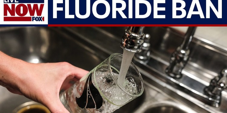 FLUORIDE BAN: Florida becomes second state to ban it in public water | LiveNOW from FOX FLUORIDE BAN: Florida becomes second state to ban it in public water | LiveNOW from FOX