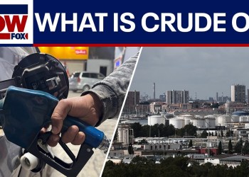IRAN WAR: Energy economist explains why oil is so important for the global economy IRAN WAR: Energy economist explains why oil is so important for the global economy
